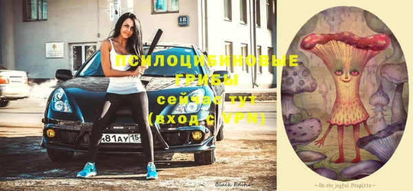MDMA Premium VHQ Нязепетровск