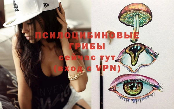 индика Володарск