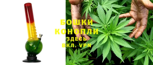 первитин Новозыбков