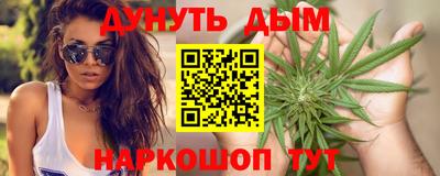 мдпв Гатчина
