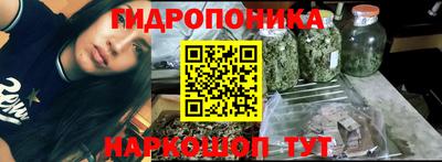 гидропоника Бийск
