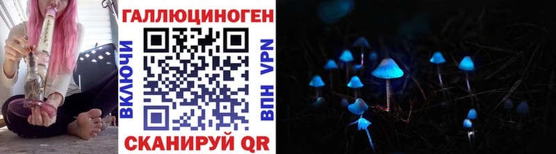 закладка  Брянск  Псилоцибиновые грибы мухоморы 