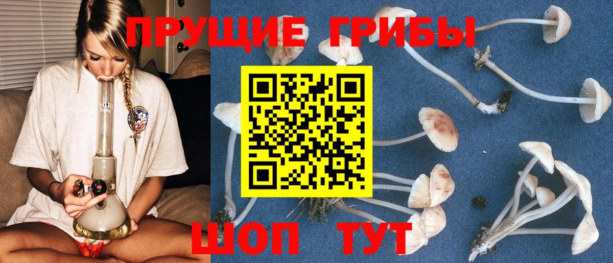 Псилоцибиновые грибы ЛСД  Брянск 