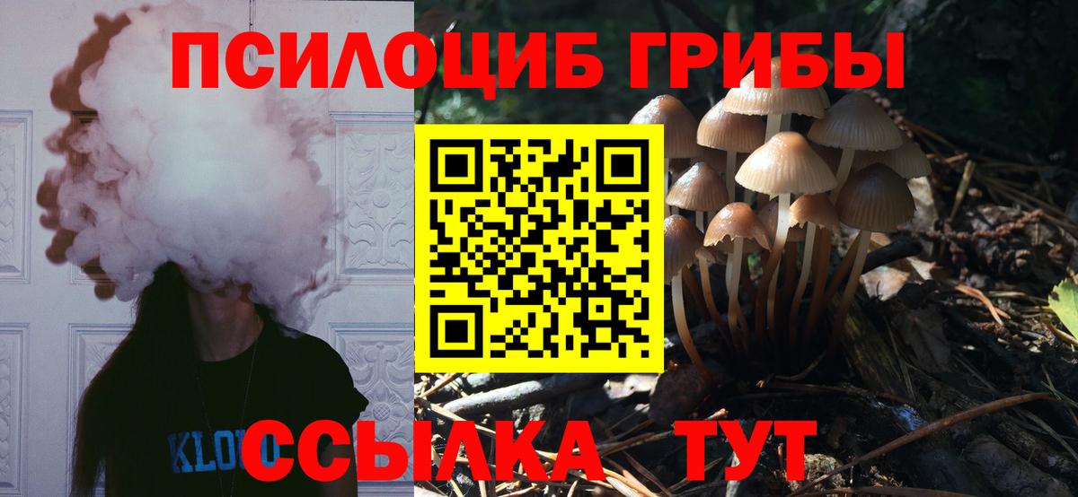 Галлюциногенные грибы Cubensis Брянск