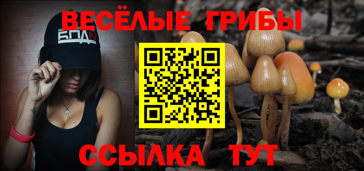 Брянск  Галлюциногенные грибы мухоморы  Вход с VPN 